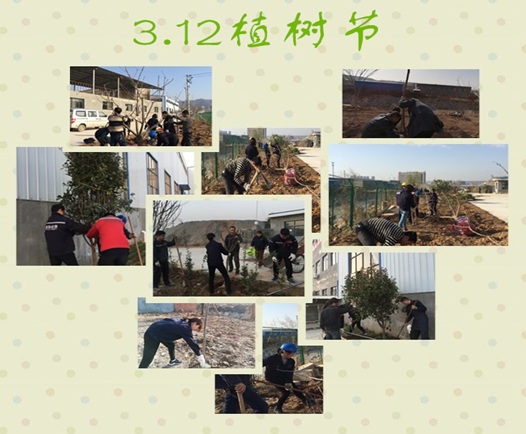 寶雞捷銳“迎春風(fēng)，綠家園”植樹節(jié)(圖3)